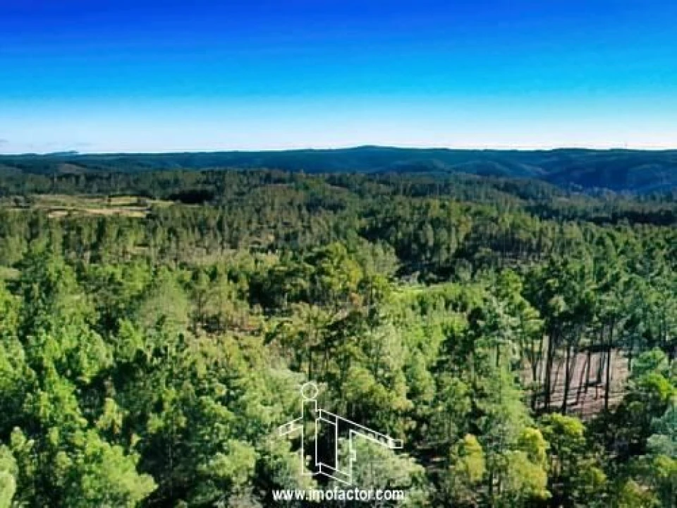 Terreno para Venda em Santo Andre das Tojeiras Foto 3