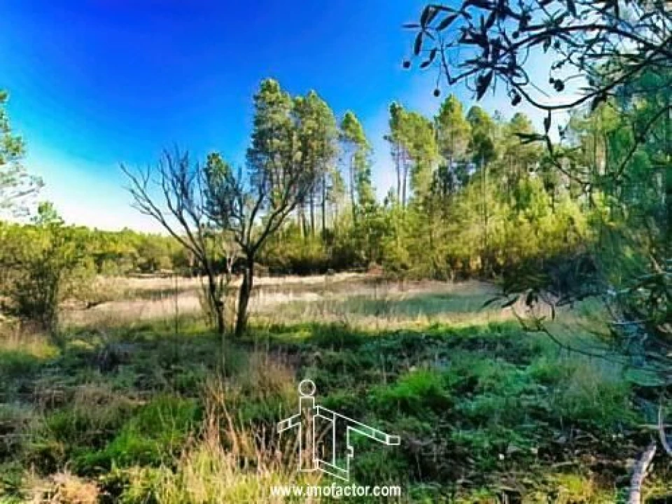Terreno para Venda em Santo Andre das Tojeiras Foto 1