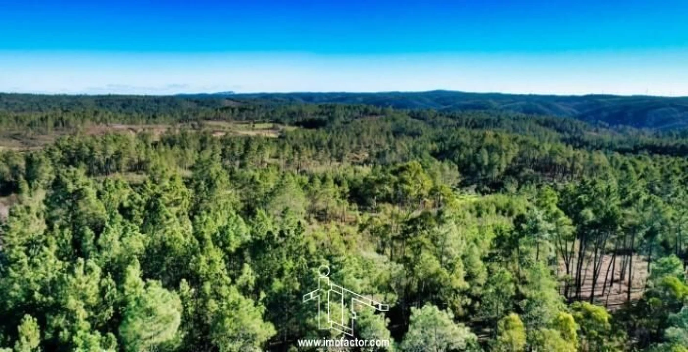 Terreno para Venda em Santo Andre das Tojeiras Foto 14