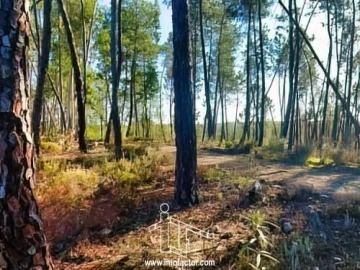 Terreno para Venda em Santo Andre das Tojeiras
