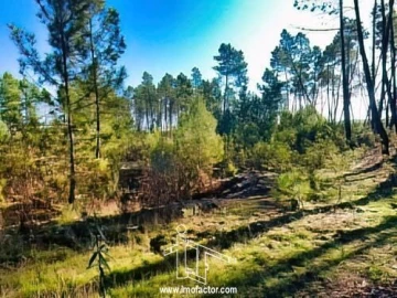 Terreno para Venda em Santo Andre das Tojeiras
