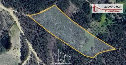 Terreno para Venda em Santo Andre das Tojeiras