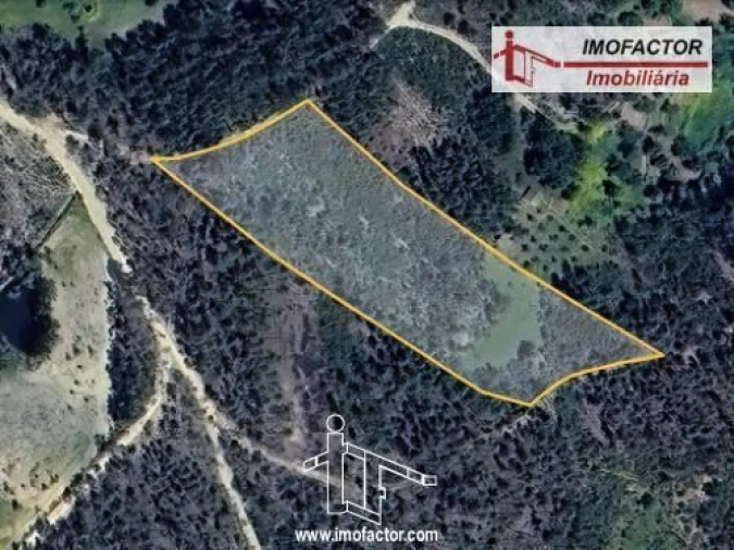 Terreno para Venda em Santo Andre das Tojeiras Foto 13