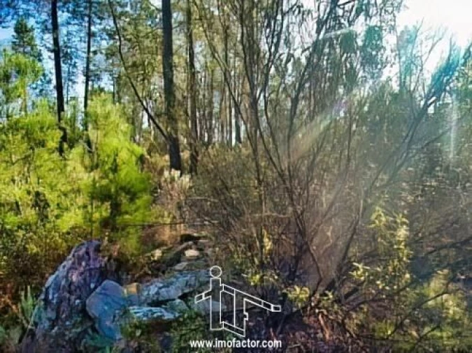 Terreno para Venda em Santo Andre das Tojeiras Foto 8