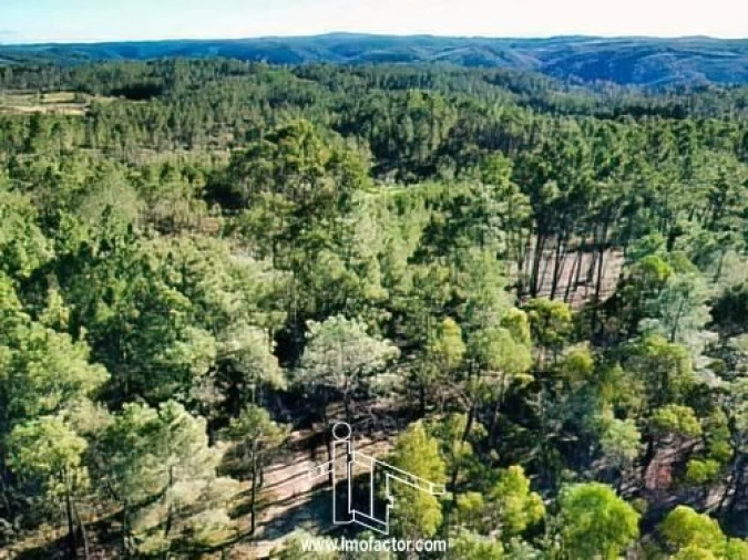 Terreno para Venda em Santo Andre das Tojeiras Foto 4