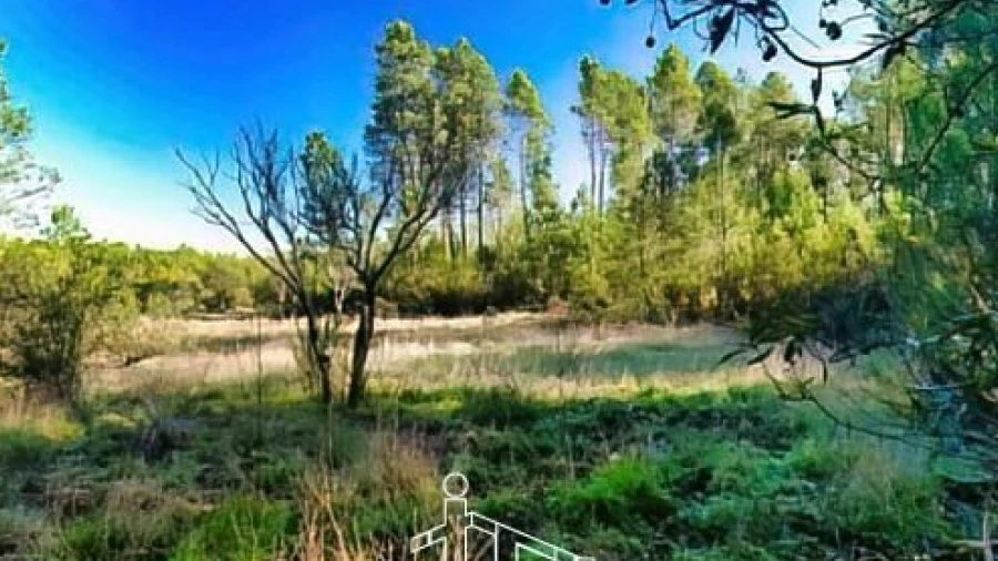 Terreno para Venda em Santo Andre das Tojeiras