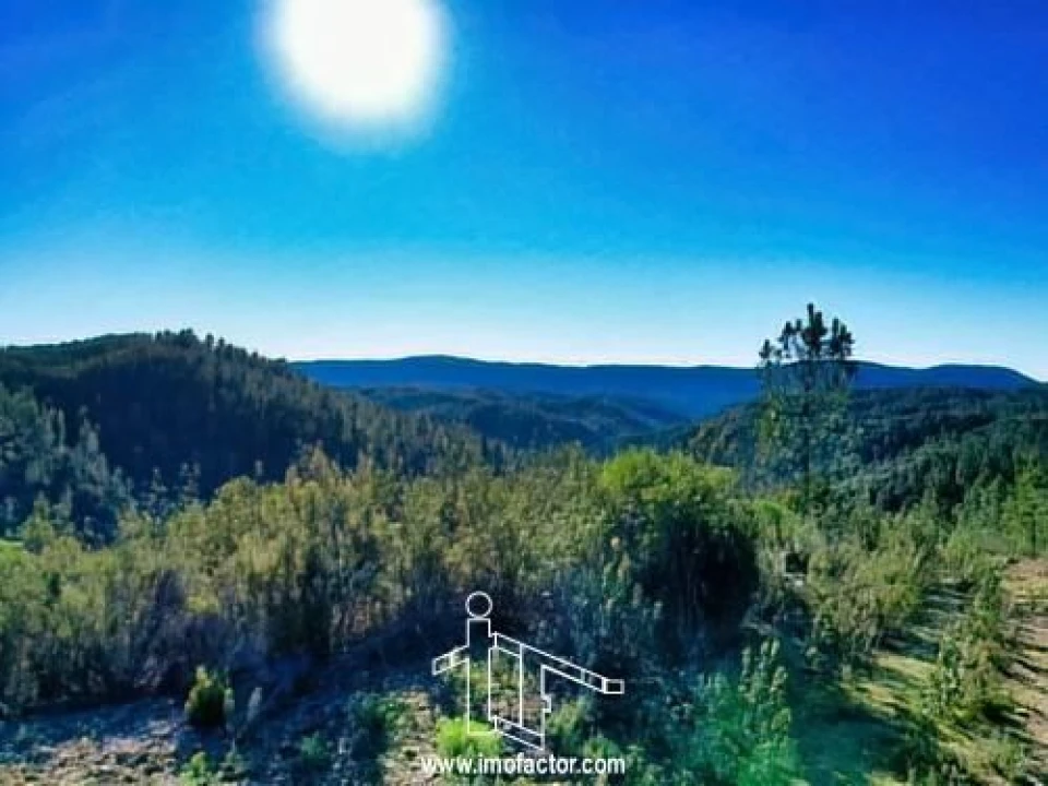 Terreno para Venda em Santo Andre das Tojeiras Foto 11