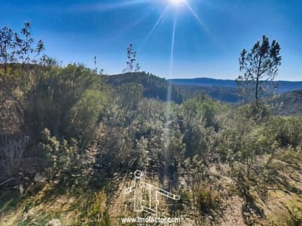 Terreno para Venda em Santo Andre das Tojeiras Foto 10