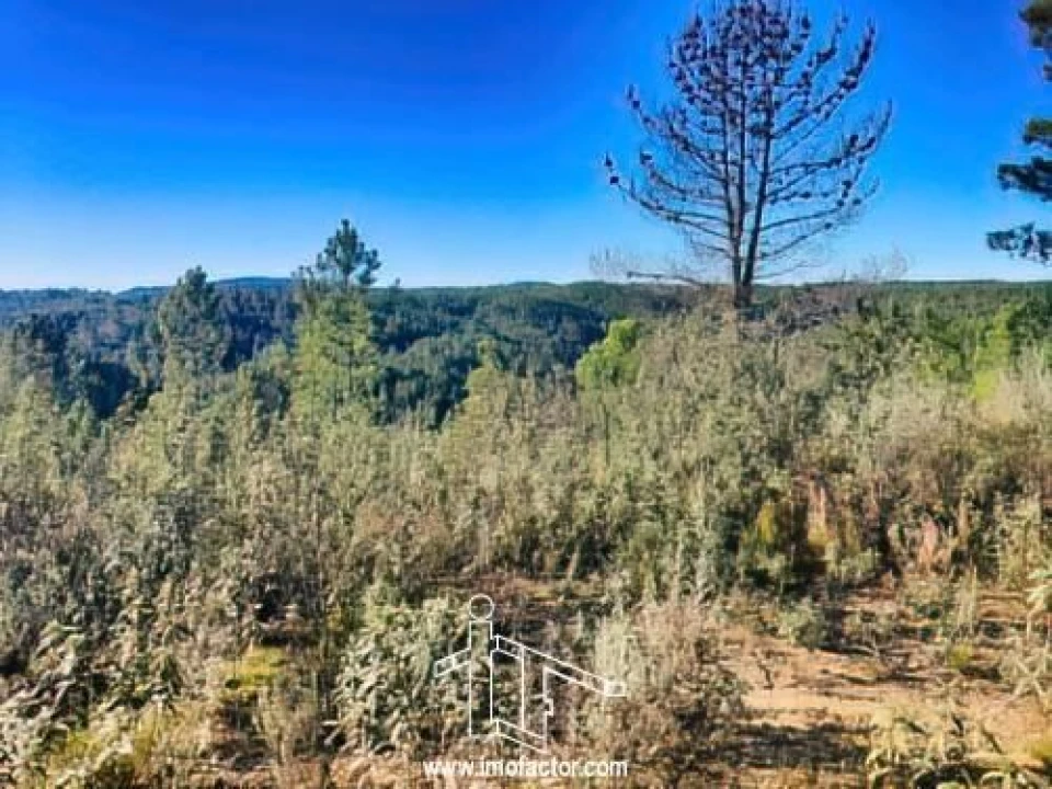 Terreno para Venda em Santo Andre das Tojeiras Foto 8