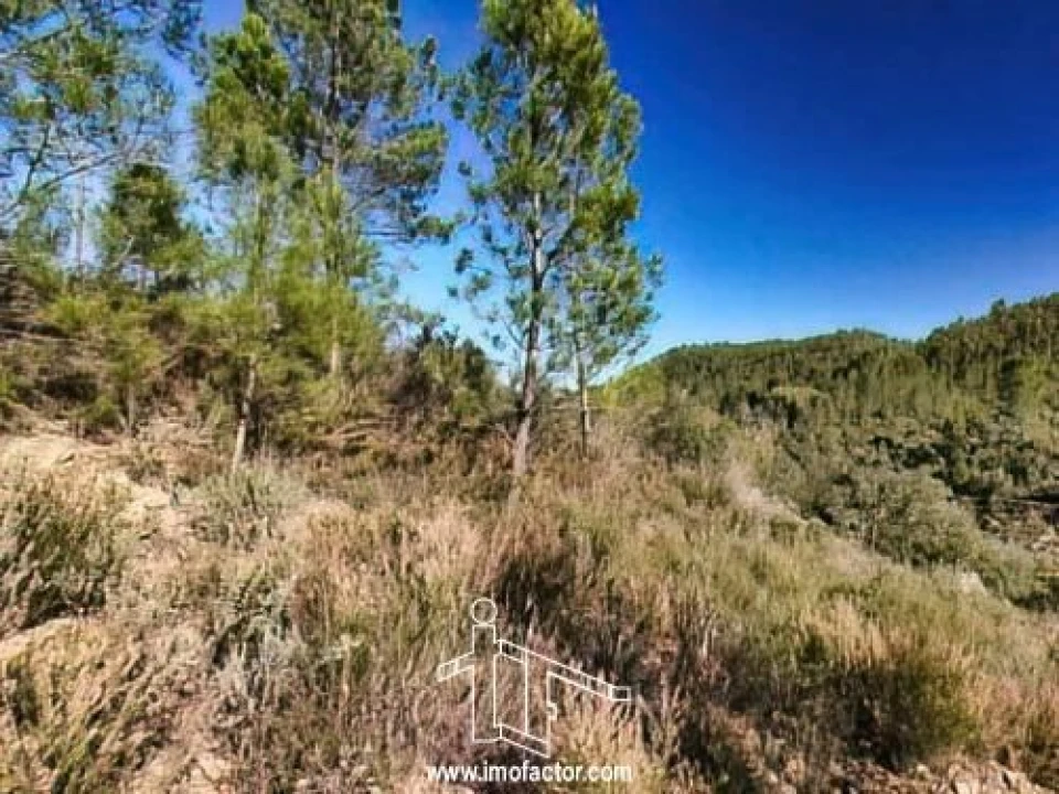 Terreno para Venda em Santo Andre das Tojeiras Foto 7