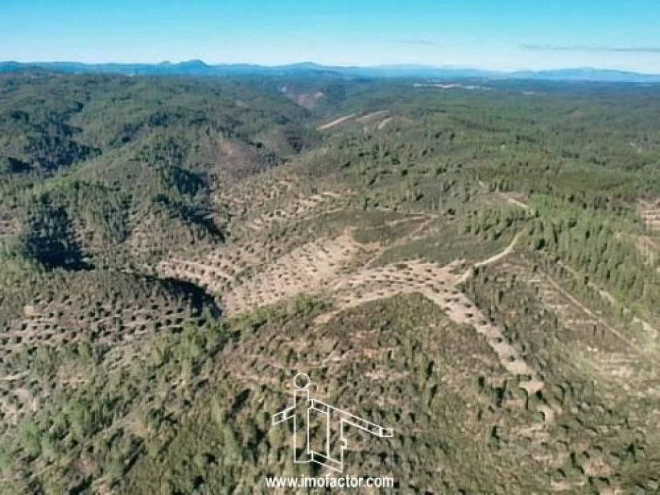 Terreno para Venda em Santo Andre das Tojeiras Foto 6
