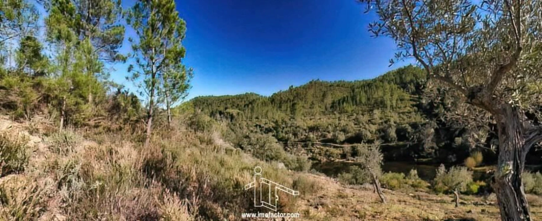 Terreno para Venda em Santo Andre das Tojeiras Foto 13