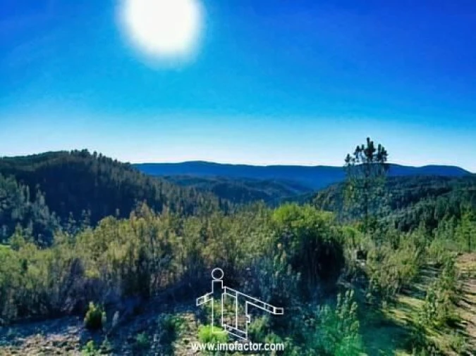Terreno para Venda em Santo Andre das Tojeiras Foto 11