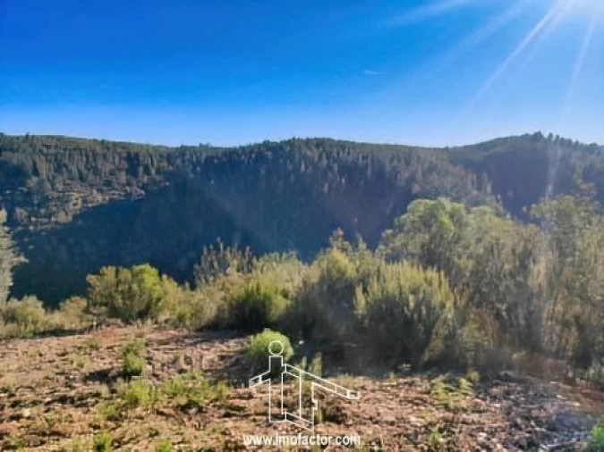 Terreno para Venda em Santo Andre das Tojeiras Foto 9