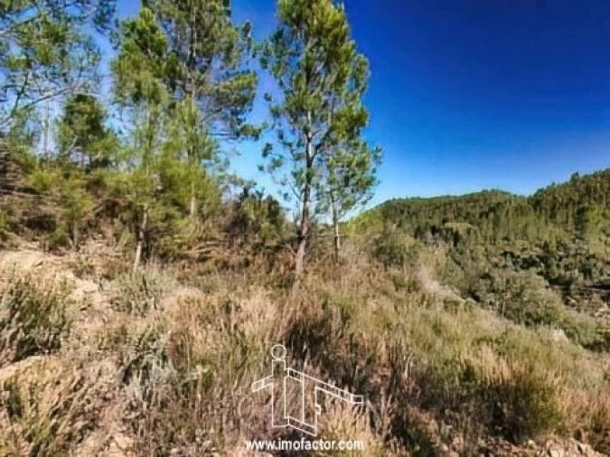 Terreno para Venda em Santo Andre das Tojeiras Foto 7