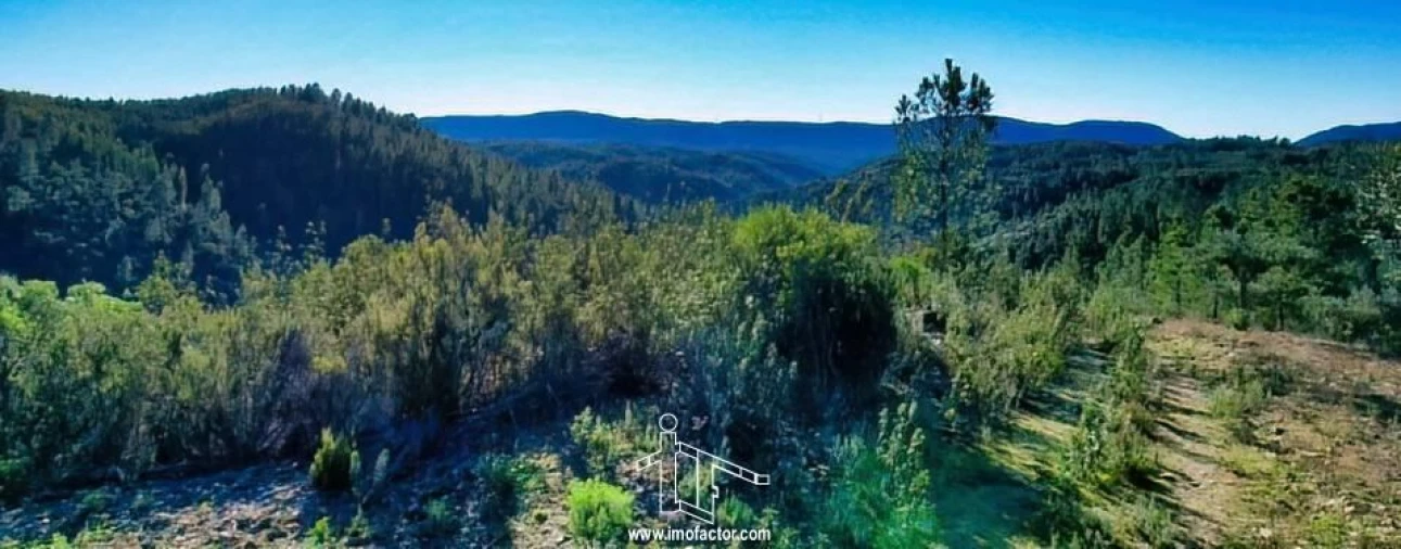 Terreno para Venda em Santo Andre das Tojeiras Foto 15
