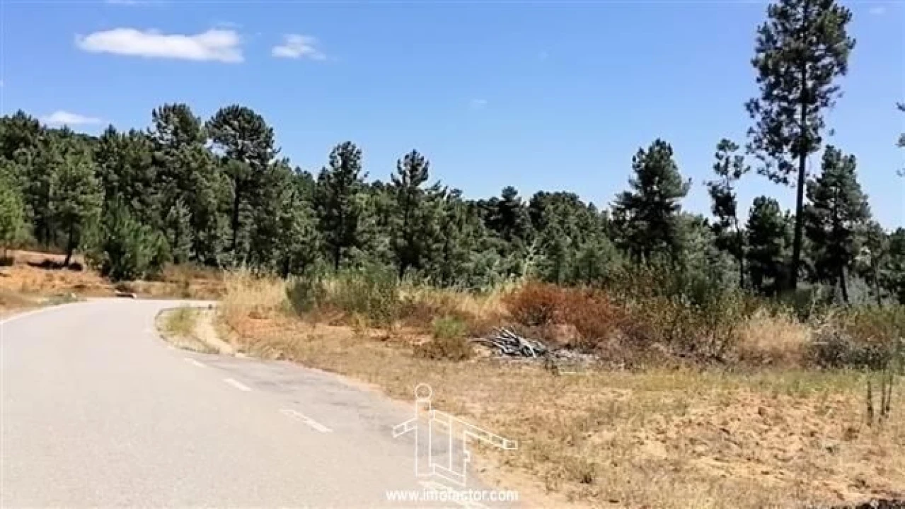 Terreno para Venda em Sarzedas Foto 12