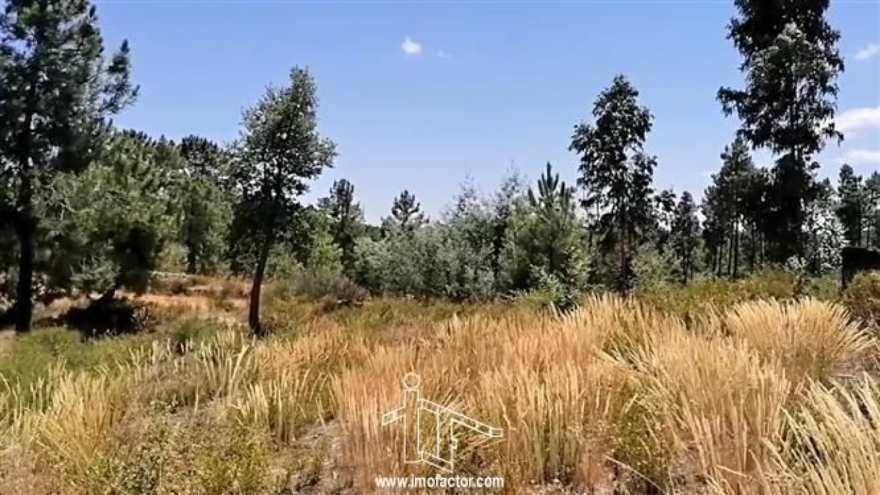 Terreno para Venda em Sarzedas Foto 10