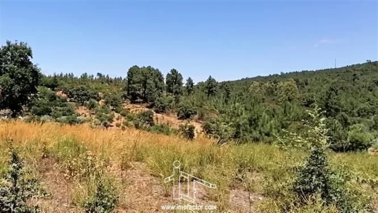 Terreno para Venda em Sarzedas Foto 7