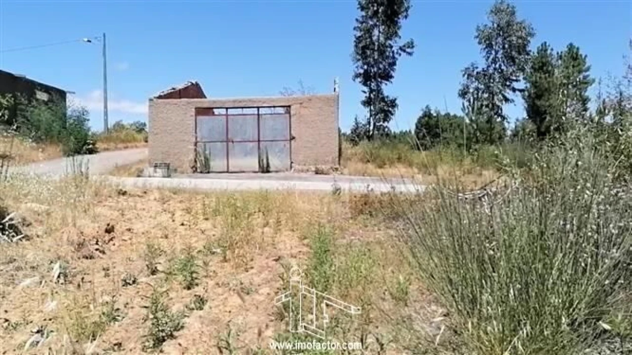 Terreno para Venda em Sarzedas Foto 3