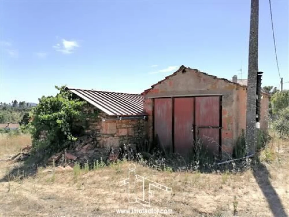 Terreno para Venda em Sarzedas Foto 6