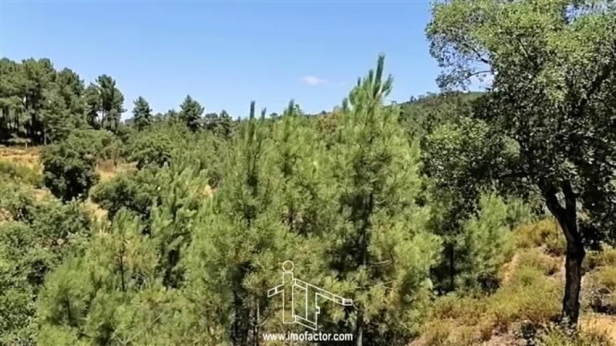 Terreno para Venda em Sarzedas Foto 11