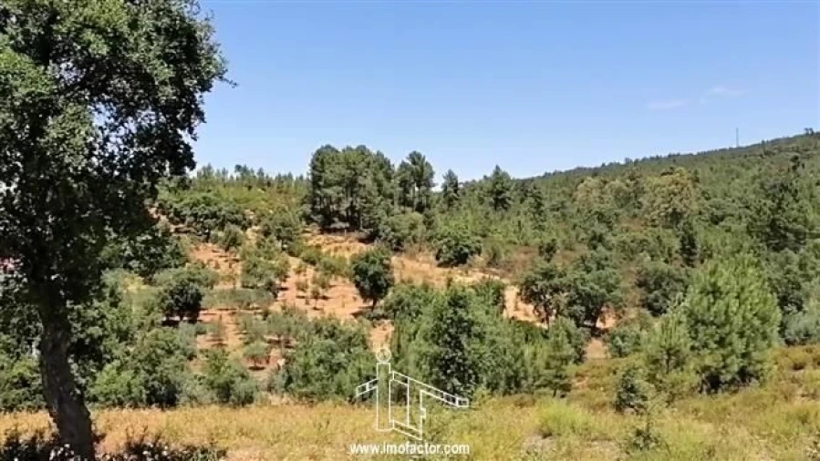 Terreno para Venda em Sarzedas Foto 9