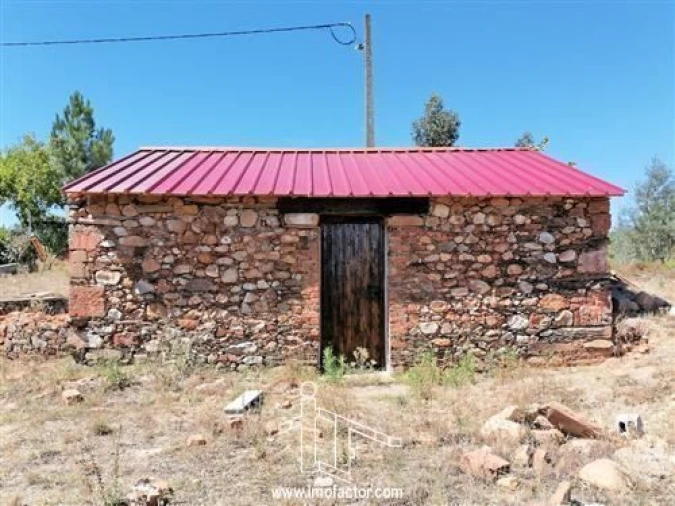 Terreno para Venda em Sarzedas