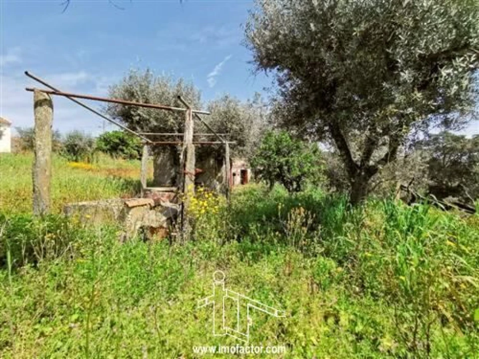 Moradia T2 para Venda em Sarzedas Foto 16