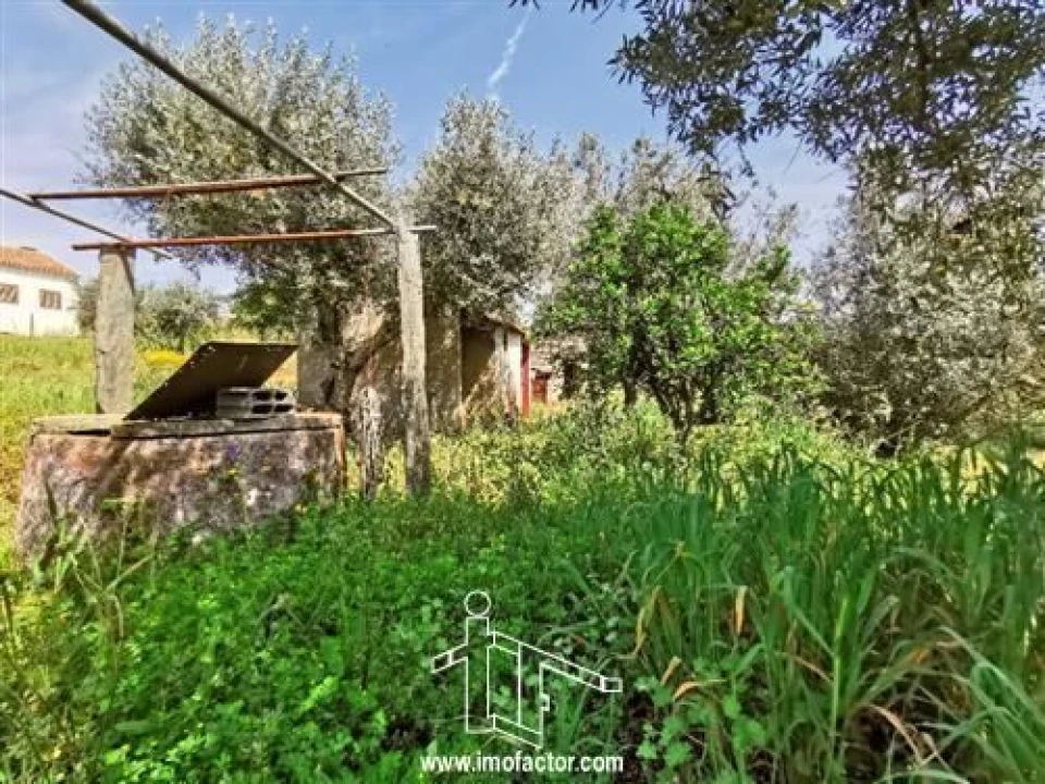 Moradia T2 para Venda em Sarzedas Foto 15