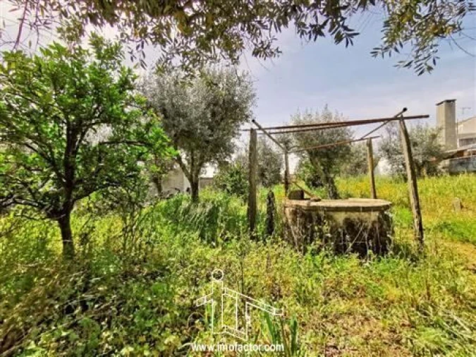 Moradia T2 para Venda em Sarzedas Foto 17