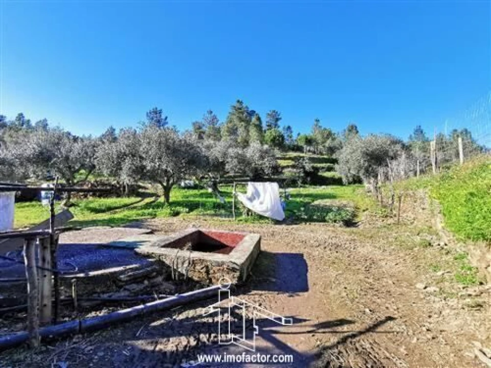 Quinta T3 para Venda em Vila Velha de Rodão Foto 14