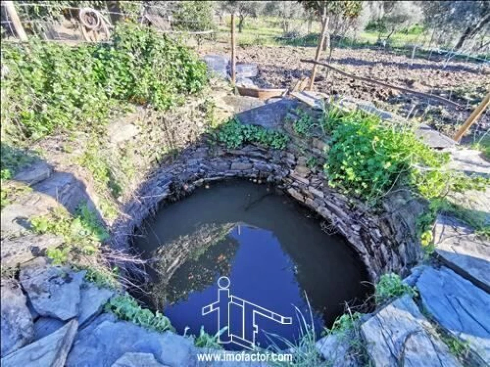 Quinta T3 para Venda em Vila Velha de Rodão Foto 9