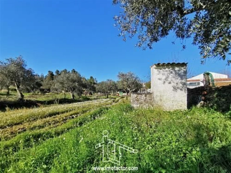 Quinta T3 para Venda em Vila Velha de Rodão Foto 8