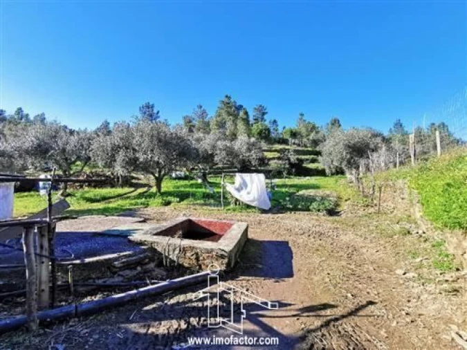 Quinta T3 para Venda em Vila Velha de Rodão Foto 14