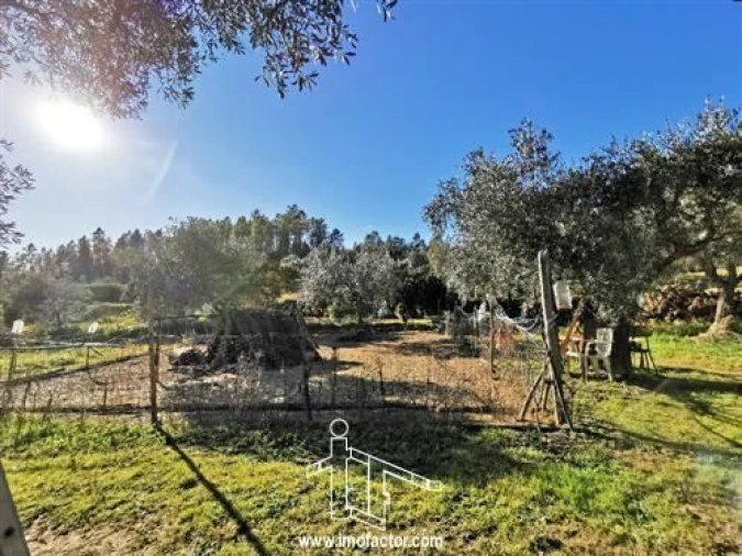 Quinta T3 para Venda em Vila Velha de Rodão Foto 13