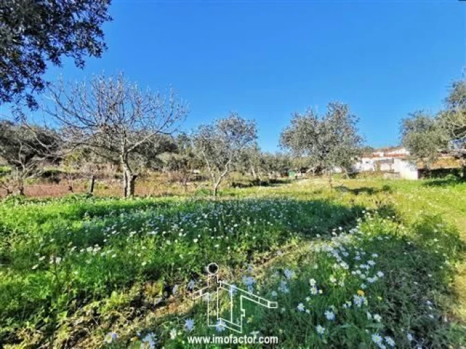 Quinta T3 para Venda em Vila Velha de Rodão Foto 11