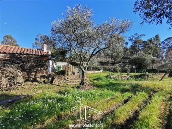 Quinta T3 para Venda em Vila Velha de Rodão Foto 10
