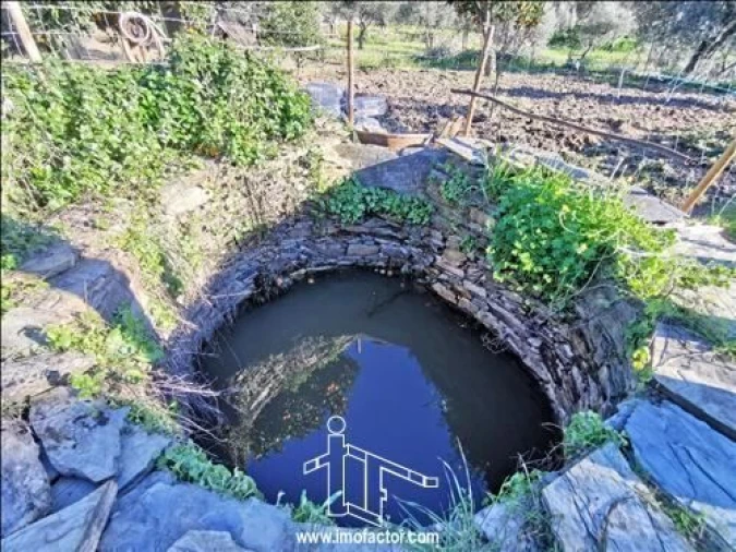 Quinta T3 para Venda em Vila Velha de Rodão Foto 9