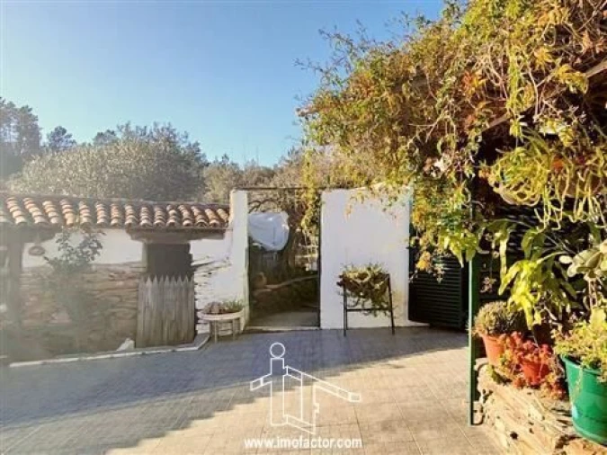 Quinta T3 para Venda em Vila Velha de Rodão Foto 4