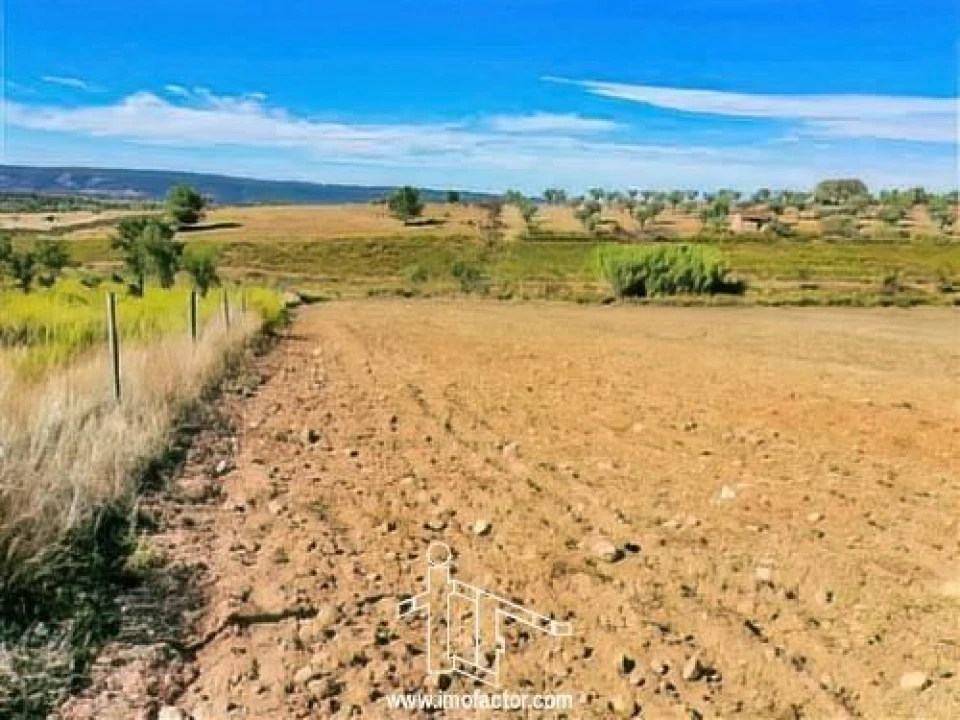 Terreno para Venda em Perais Foto 14