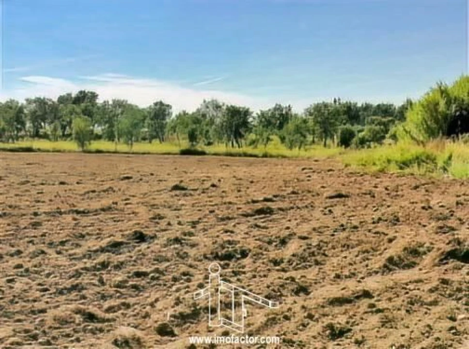 Terreno para Venda em Perais Foto 13