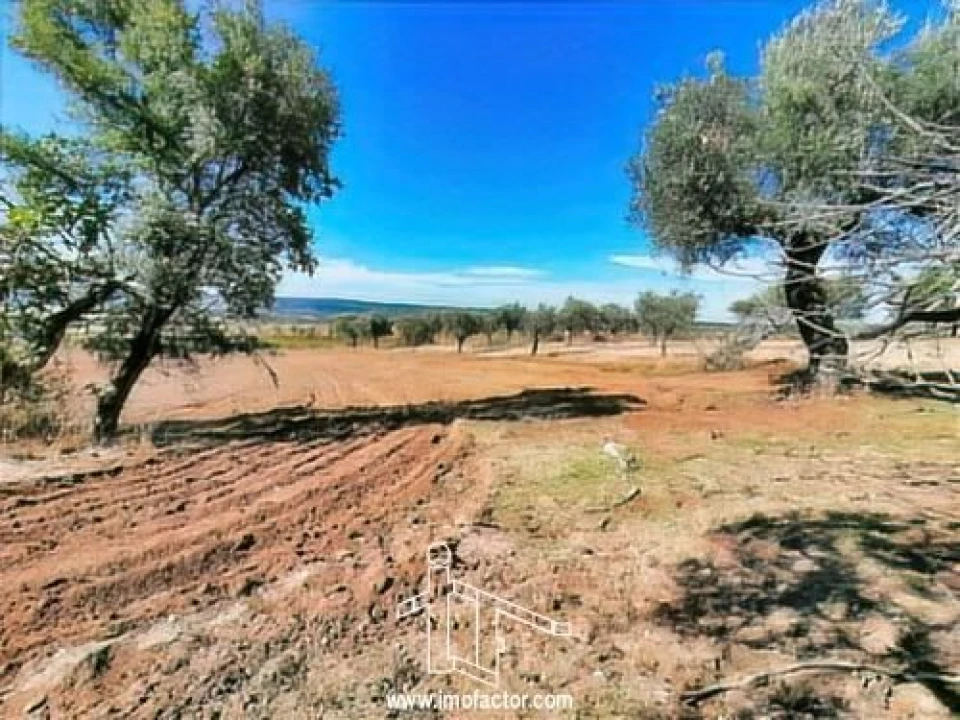 Terreno para Venda em Perais Foto 10
