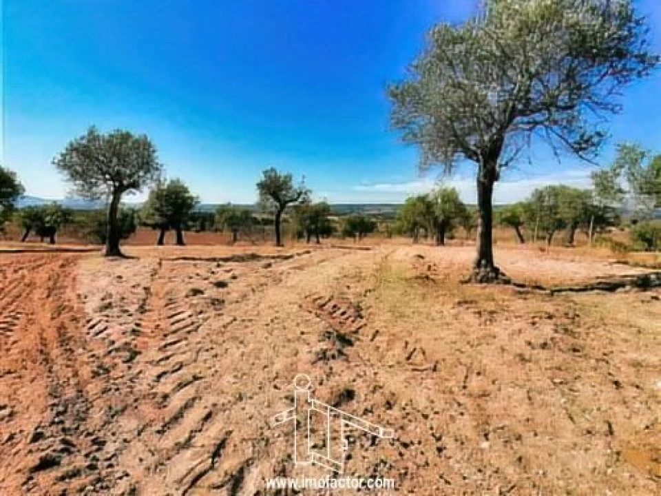 Terreno para Venda em Perais Foto 9