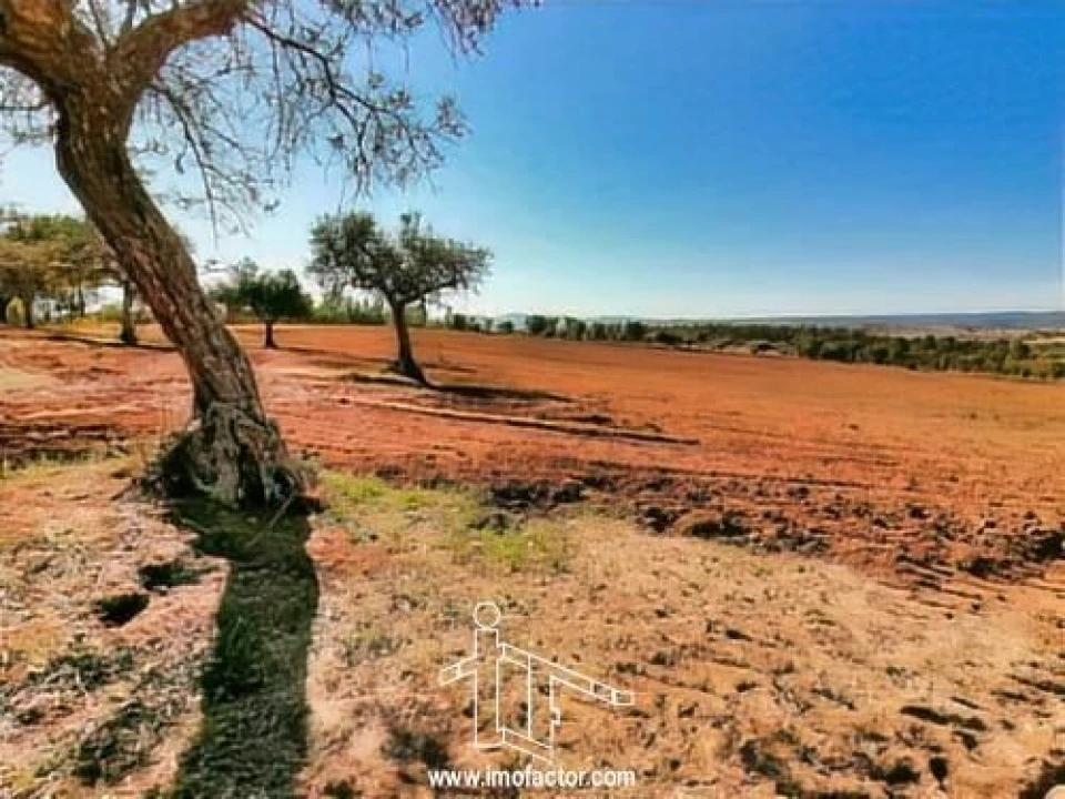 Terreno para Venda em Perais Foto 7