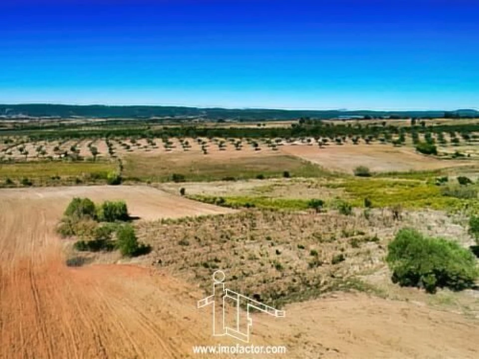 Terreno para Venda em Perais Foto 3