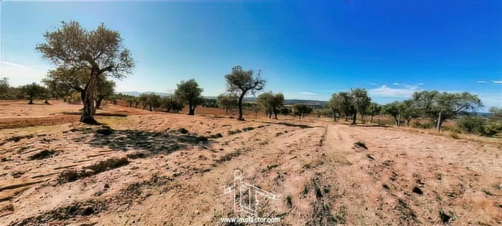 Terreno para Venda em Perais Foto 22