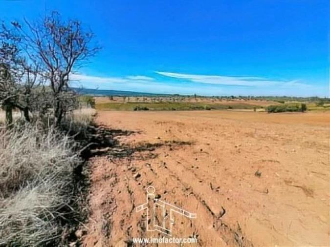 Terreno para Venda em Perais Foto 16