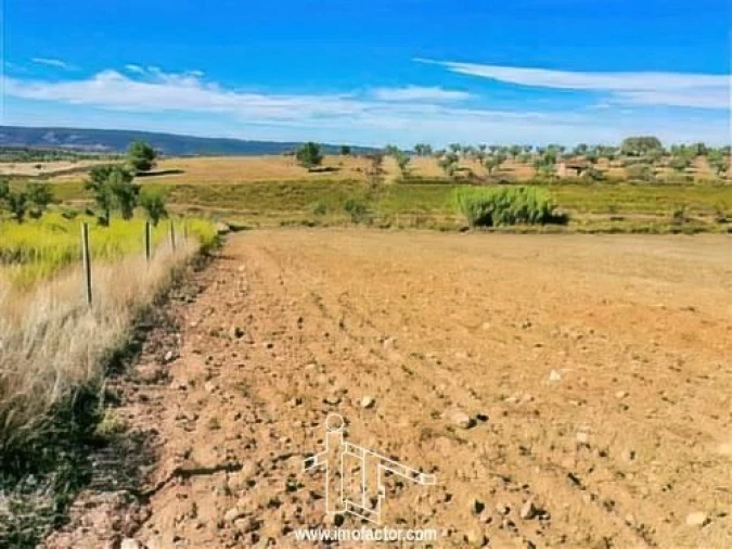 Terreno para Venda em Perais Foto 14
