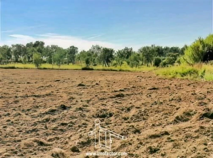 Terreno para Venda em Perais Foto 13